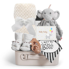 Baby Gift Set for Newborn Essentials, Gender Reveal Gift Basket, Neutral Design