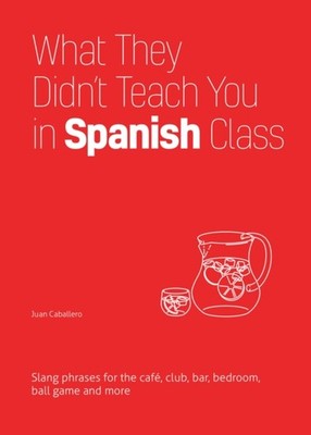 What They Didn't Teach You In Spanish Class: Slang  by Juan Caballero PAPERBACK