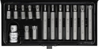 Spezial-Torx-Bit-Set 15-Teilig