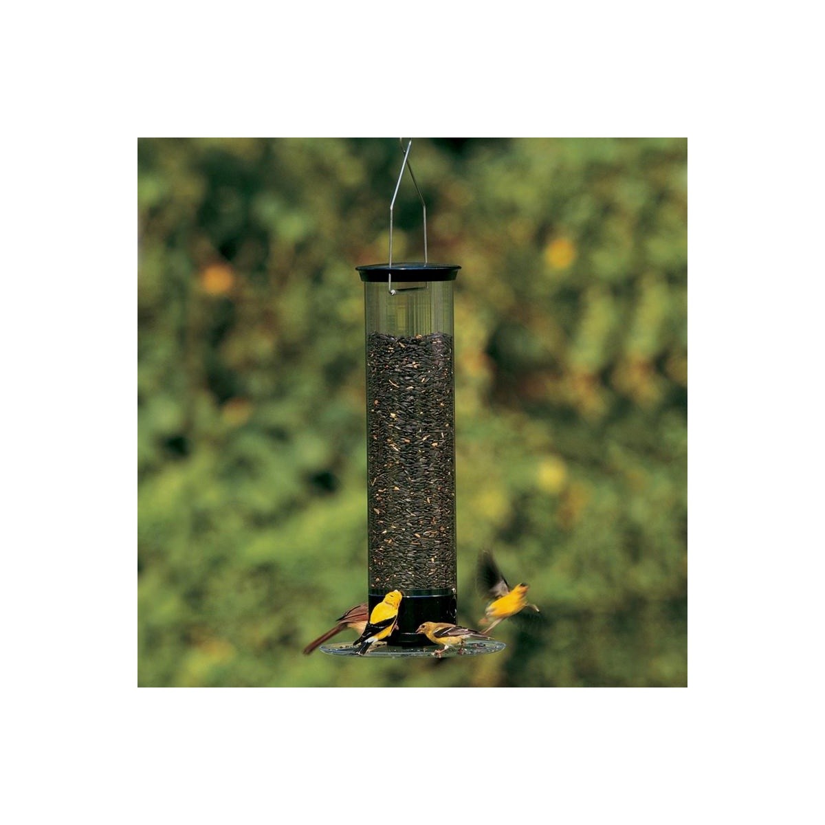 Droll Yankees Tipper Wild Bird 5 lb Polycarbonate Tube 4 Port Feeder YCPT-360-M