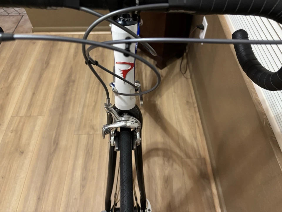 Bicicleta de Carretera Pinarello Prince SL Talla 56/57 En Hermoso Estado, Usada Foto 2 de 4