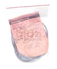 Baumer Electric IFF 08.24.15/L1 Nährungsscha...