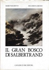 Il gran bosco di Salbertrand