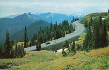 Hurricane Ridge Highway - Olympic National Park Washington WA - PM 1956 Postcard
