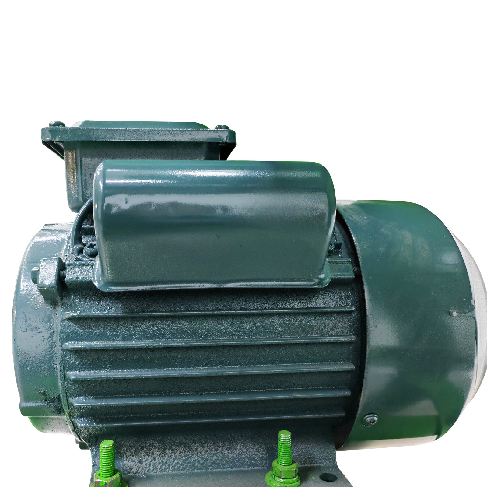 220V Grass/Melons Cutting and Dicing Combined Crusher Double Inlet 3HP 500kg/h
