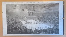 Detroit Red Wings 