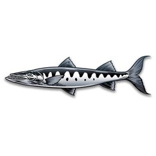 Barracuda Sticker Decal