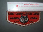 Boy Scout OA 255 Chief Cornplanter First Flap 4104R