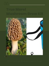 VERO Morel Mushroom Kit Coltivazione COMPLETO - Coltiva Funghi Morel in Casa e Giardino Inocul