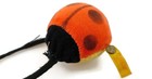 Bild 8 von 10