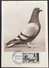 Carte 1er jour N° 1091 COLOMBOPHILE 1957