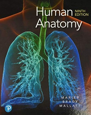 Human Anatomy