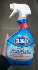 Clorox Clean-Up All-Purpose Cleaner with Bleach Spray Rain Clean Scent 32 oz.