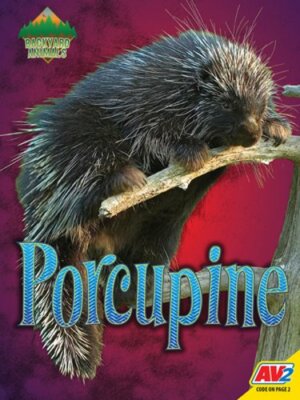 Porcupine by Christine Webster: New