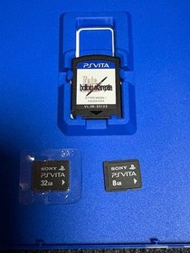 PlayStation Vita PS VITA 3G/Wi-Fi PCH-1100 OLED Handheld Console Black 11 Games