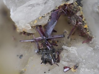 Pyrargyrit xx Ludwig Sp Grube Churprinz Großschirma Freiberg Erzgebirge Sachsen