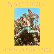 Other Possibilities by Naytronix Cassette, 2021 