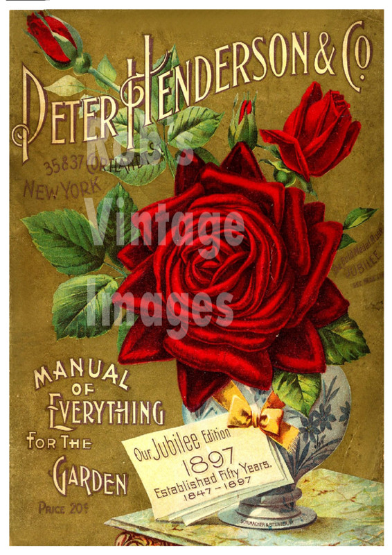1897 Peter Henderson Vintage Garden Flower Fruit Seed Poster Art Print 8.5x11