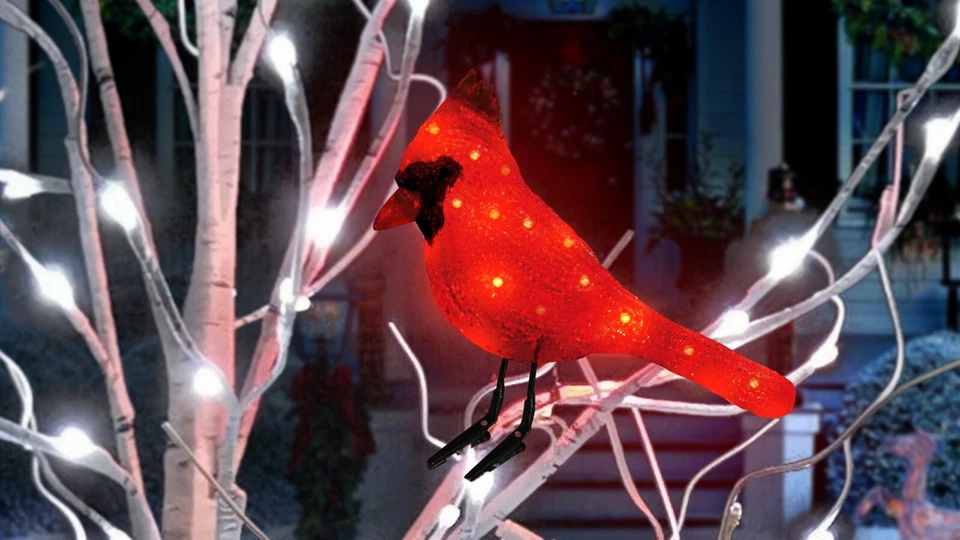 Cardeal de Natal Aurio 6 polegadas LED vermelho com pés recortados - Imagem 2 de 3