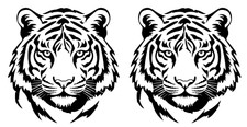 Siberian Tiger TWO Pack 5" Vinyl Decals Car Truck Window Laptop Notebook Door