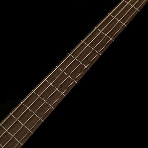 SX Fretless Bass Guitar JB Type SJB62C+/FL BK | eBay