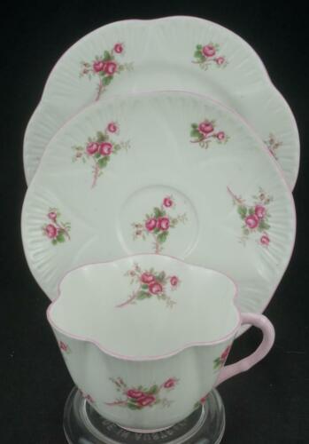 Vintage Shelley Trio Cup Saucer Side Plate 13545 Bridal Rose or Rose Spray KC854 - Picture 1 of 6