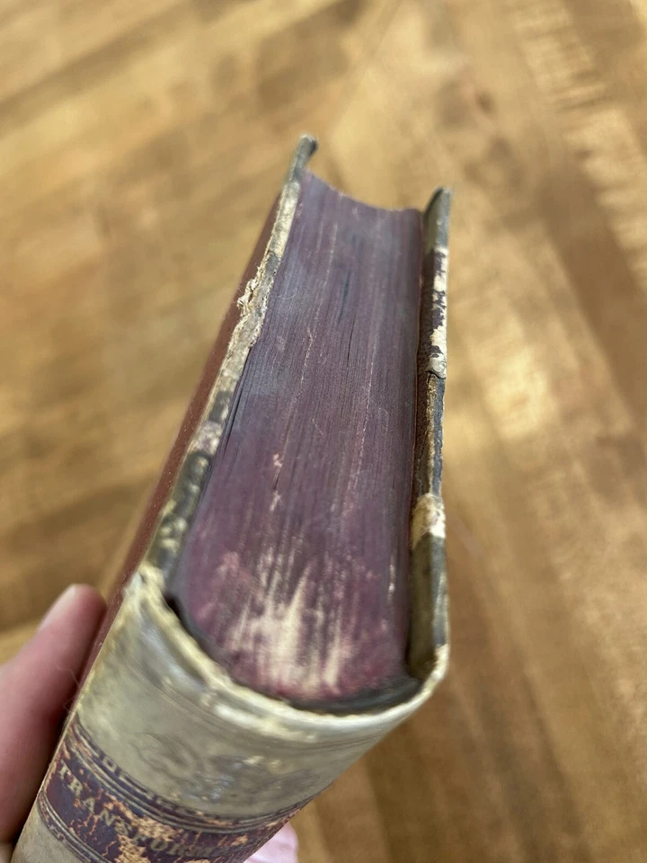 Transformation/Romance of Monte Beni/Marble Faun 1860 Nathaniel Hawthorne Velum Foto 3 de 4