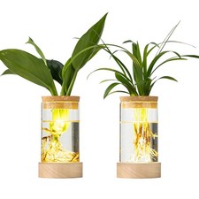 Glass Plant Propagation Stations, Propagation Vases for Plants with Ambient L...