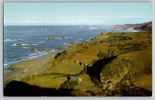 Ocean View Azalea State Park Brookings Oregon 76 Union Oil Ad Chrome Postcard
