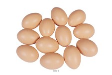 Oeuf de poule brun artificiel X 12 en Plastique soufflé H 65x45 mm