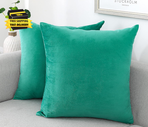 Decorative Throw Pillow Covers Velvet Soft for Couch Sofa Bedroom Living Room Ou