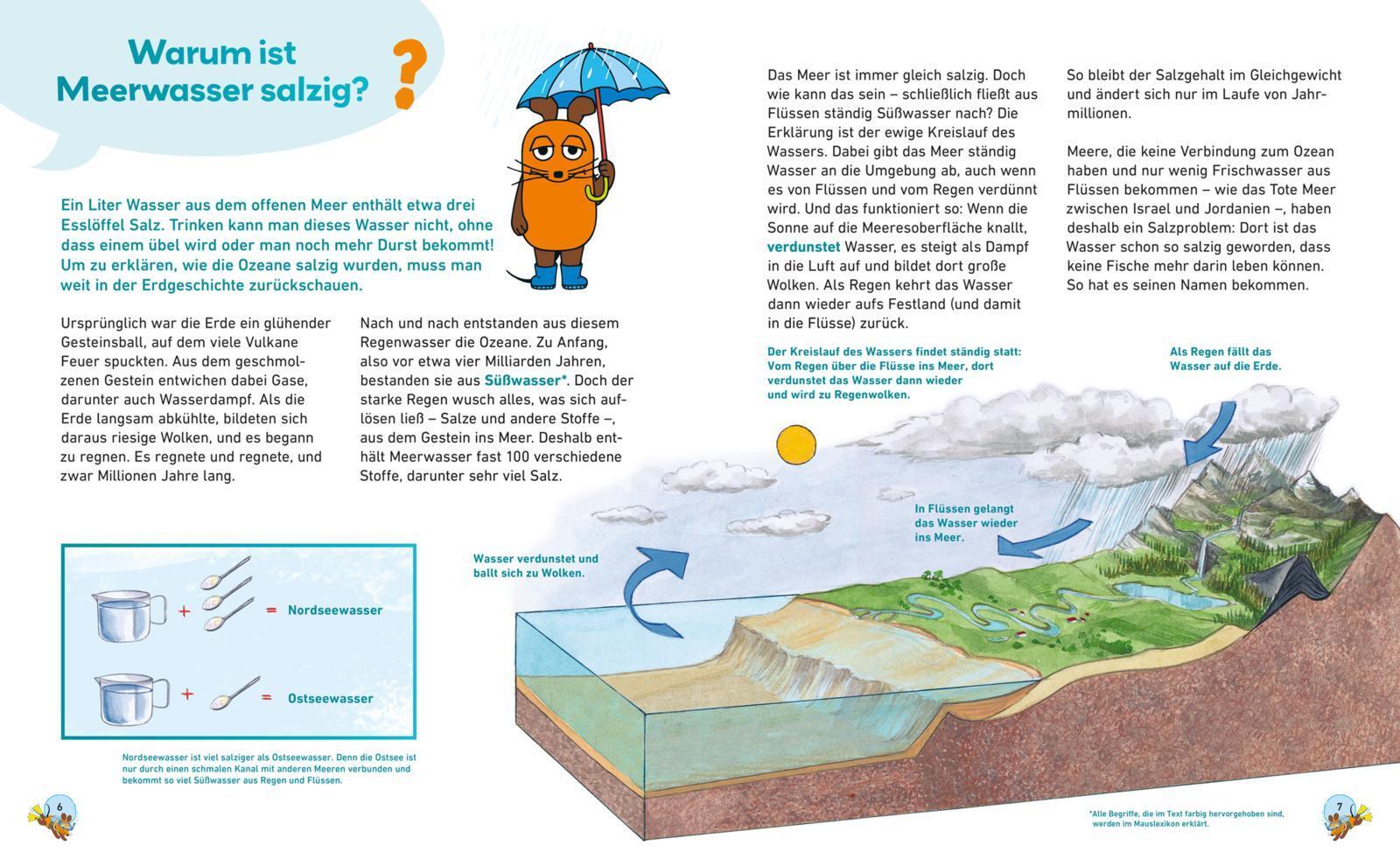 Thumbnail - Frag Doch Mal ... Die Maus: Meere Und Ozeane Sylvia Englert