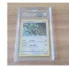 TAG 10 Rayquaza SWSH029 SWSH Sword & Shield Promo Cards Promo Holo EN
