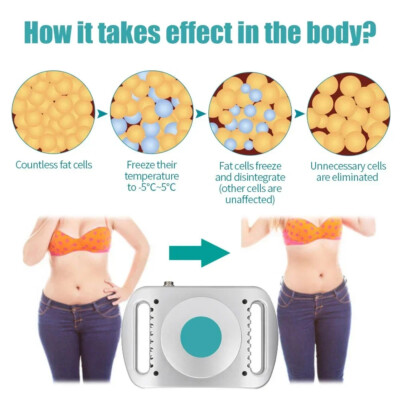Cold Therapy Fat Freezing Belt Body Slimming Massager Weight Loss with  Membrane | eBay
