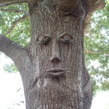 SIMON CONCRETE TREE PEEPLE FOREST FACE GARDEN LAKE HOUSE PEOPLE