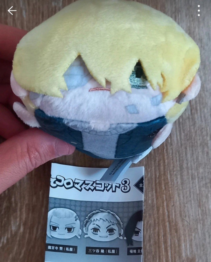Tokyo Revengers Potekoro Mascot 3 Matsuno Chifuyu Plush