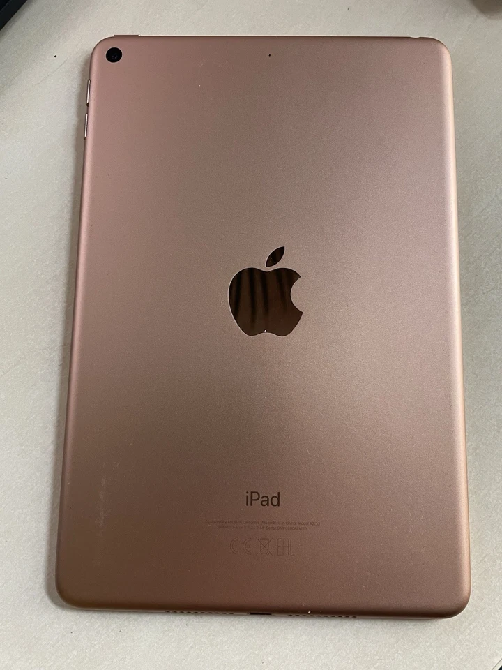 Apple iPad Mini (5. Generation), 256 GB, WLAN, 20,06 cm (7,9 Zoll) - Gold - Bild 2 von 4