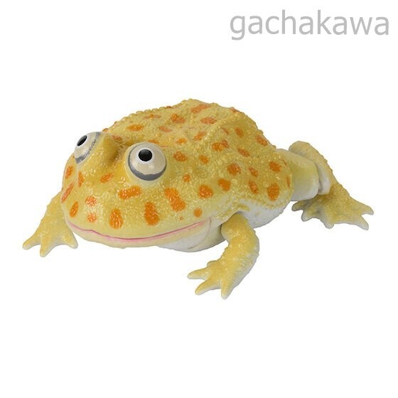 Ikimono Encyclopedia Repti Budget Frog and Ceratophrys Set of 5