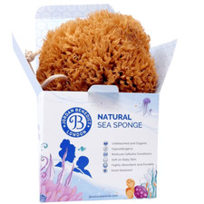 Soft Wool Natural Sea Sponge for Bath and Shower UK Honeycomb Bath Sea Sponge