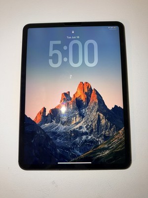 Apple iPad Pro 3rd Gen A1876 256GB Wi-Fi + 5G 11 In Space Grey Excellent