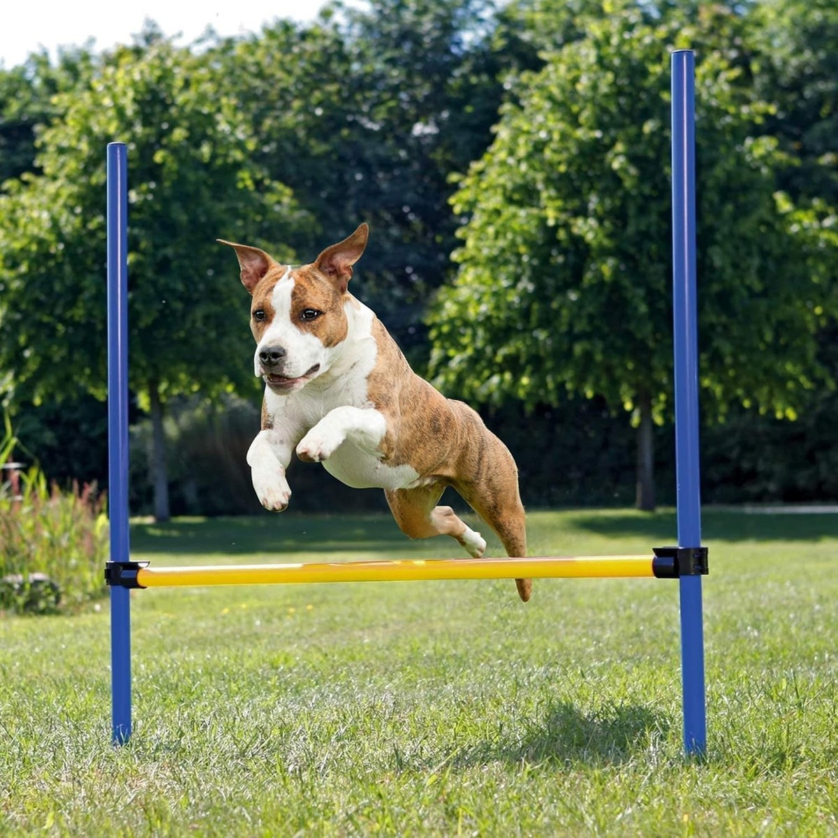Pet Prime Pet Dogs Outdoor Games Agility Exercise Training