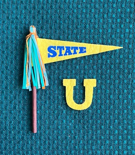 Vintage Barbie Ken State Pennant & Yellow Felt U from Campus Hero #770