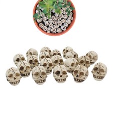 20 Pcs Halloween Skull Ornament Mini Skull Statue lifelike Skull Adornment