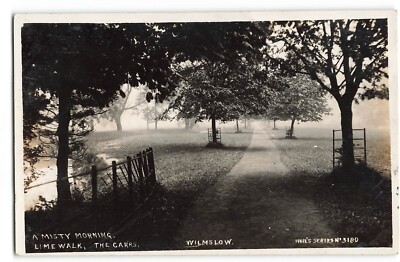 Lime Walk Carrs Wilmslow Nebeliger Morgenbaum gesäumter Weg 1910er RPPC Postkarte