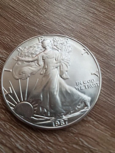 1987 American Silver Eagle Fine Silver Dollar Coin-Uncirculated Ungraded