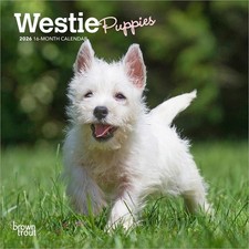 West Highland White Terrier Puppies | 2026 7 x 14 Inch (Hanging) Monthly...