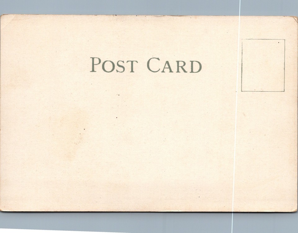 Minnehaha Falls Minneapolis Minnesota Waterfalls UnDivided Back Vintage