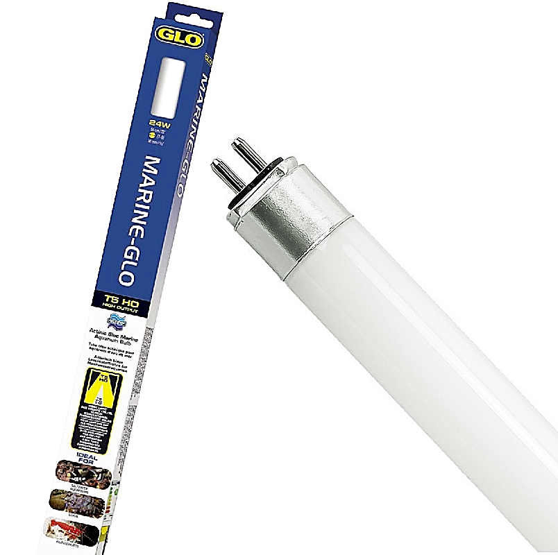 fish tank light bulb