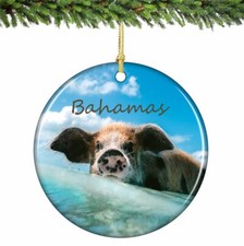 Bahamas Swimming Pig Christmas Ornament Porcelain 2.75 Inches