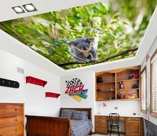 3D Cute Koala A5169 Ceiling WallPaper Murals Wall Print Decal Deco AJ WALL Fay